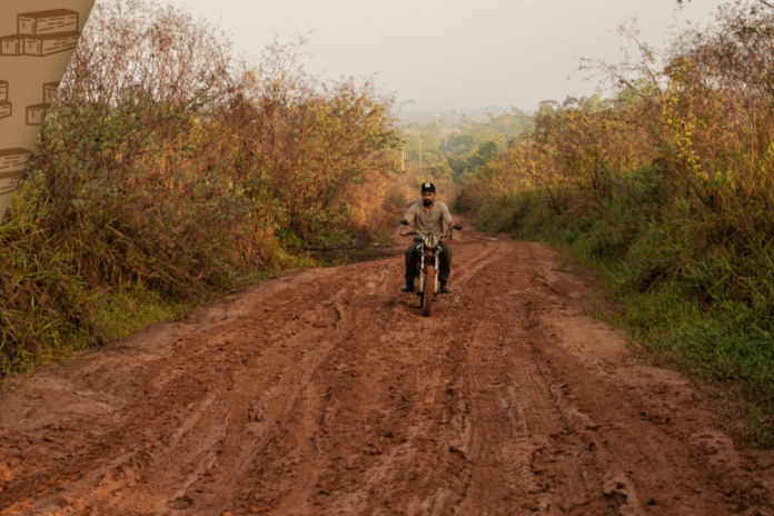Vanishing Forests Vanishing Forests