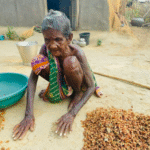 Digital Welfare DIvide