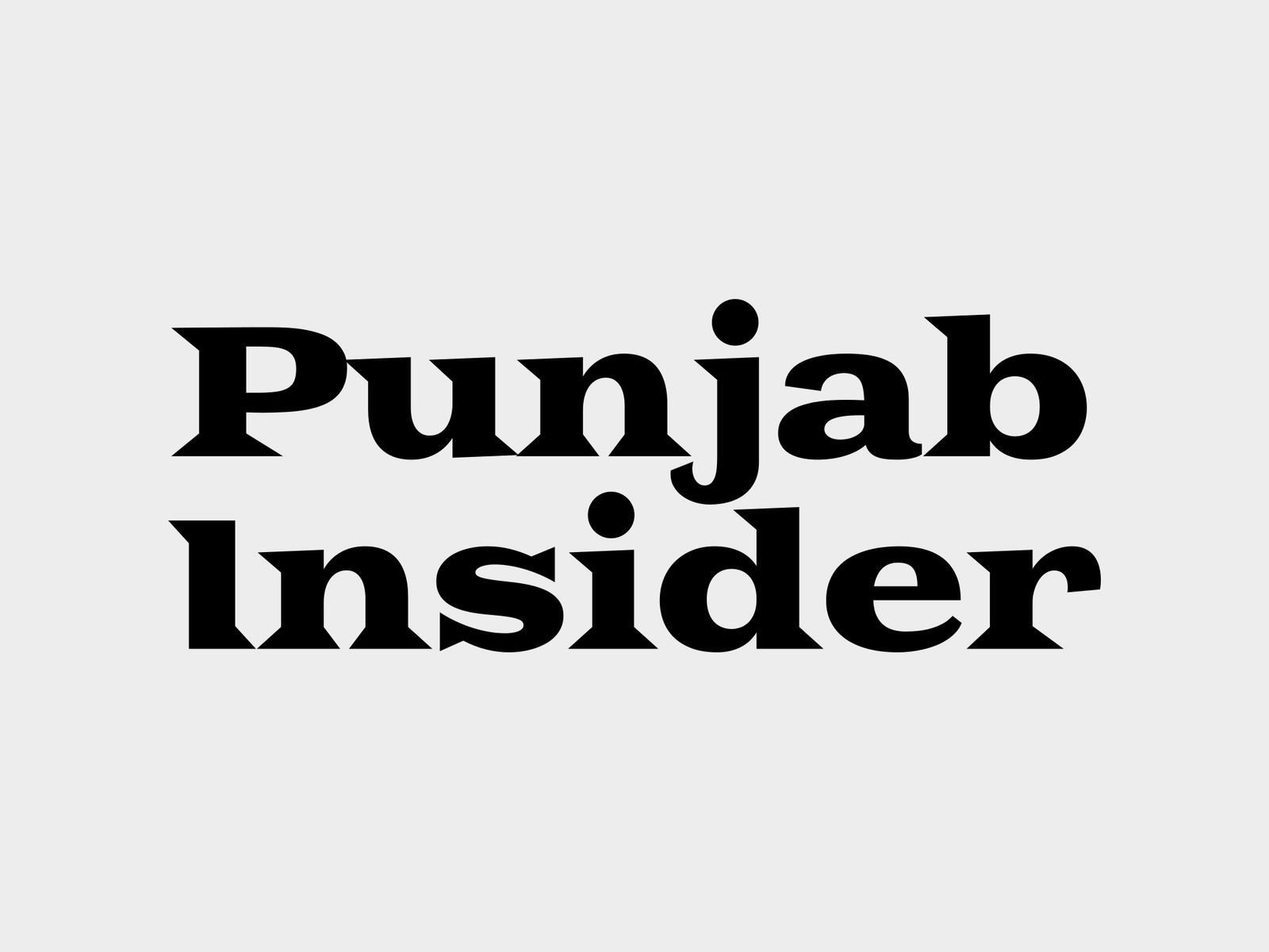 Punjab Insider Logo