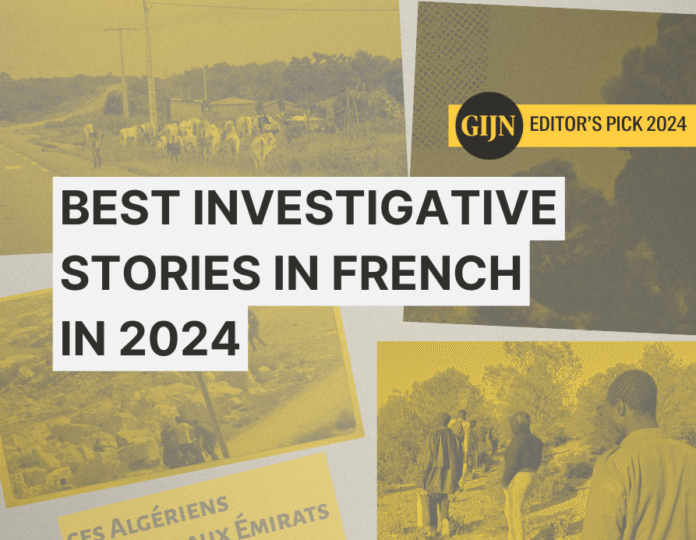 Best Investigative Stories In French in 2024 Best Investigative Stories in French In 2024