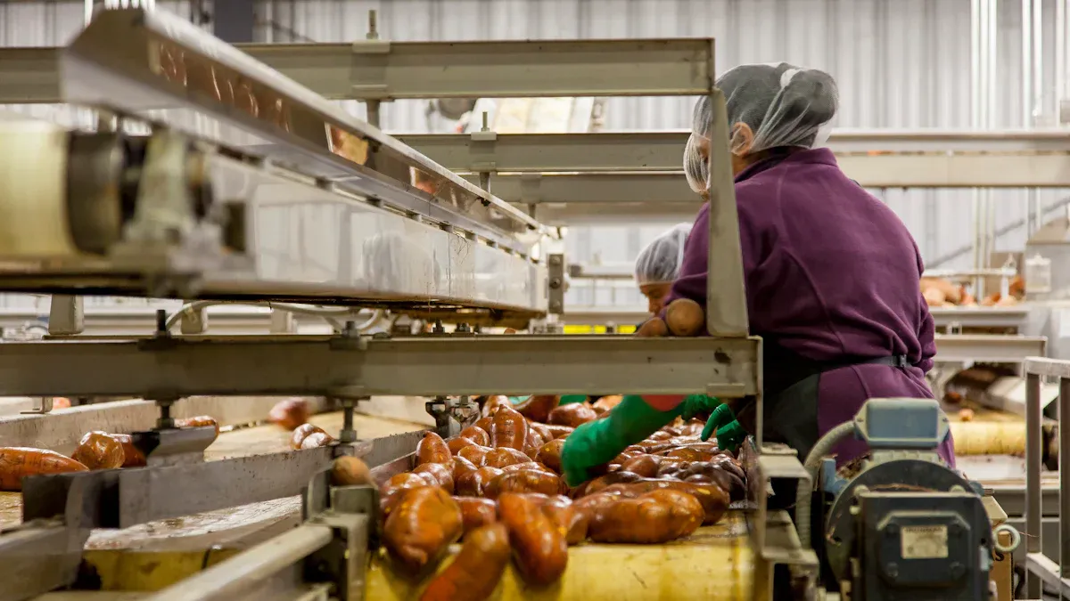 The Organized Retail Crime Pyramid