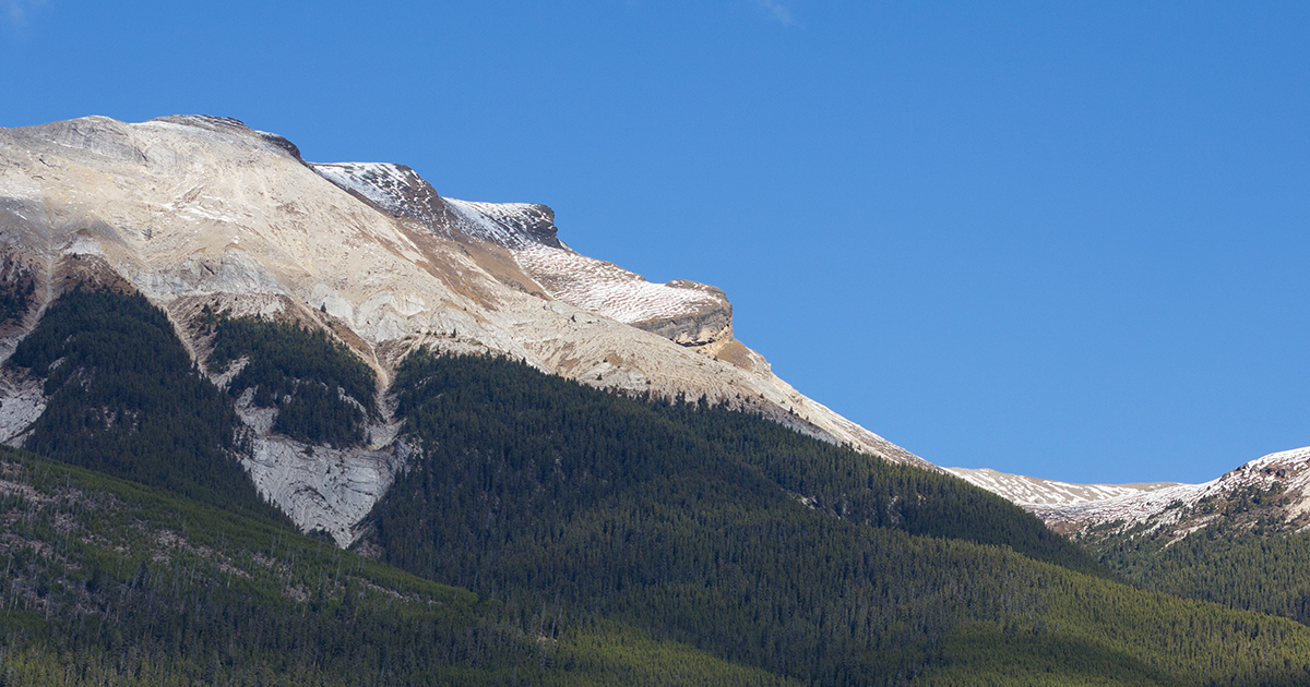 Railway Establishment and the Fitzhugh Siding Era