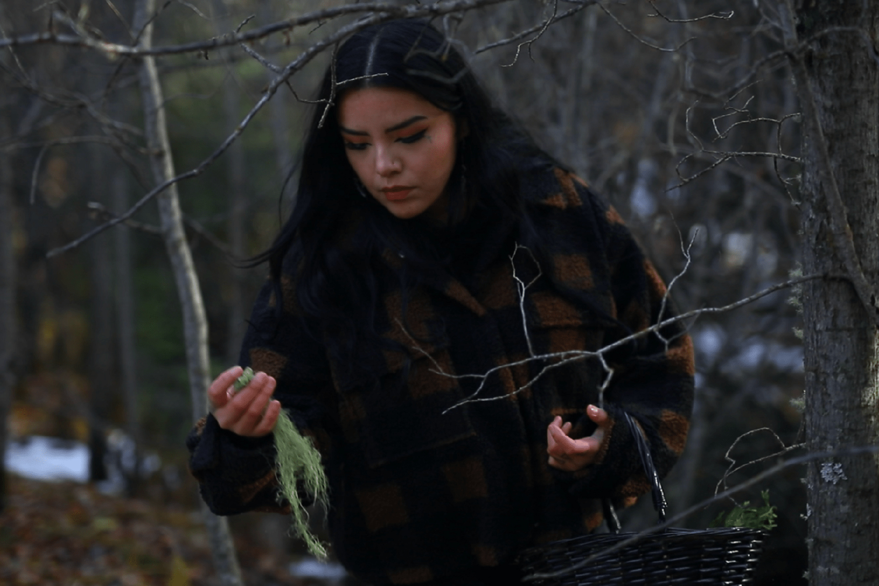 Federal Administration and the Jasper Townsite Committee 1930, 2001