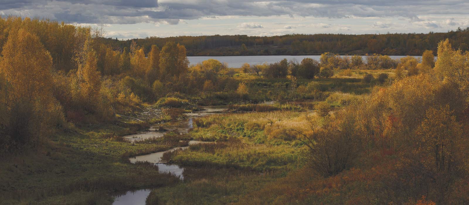 Athabasca Valley Fur Trade and Indigenous Displacement 1700, 1907