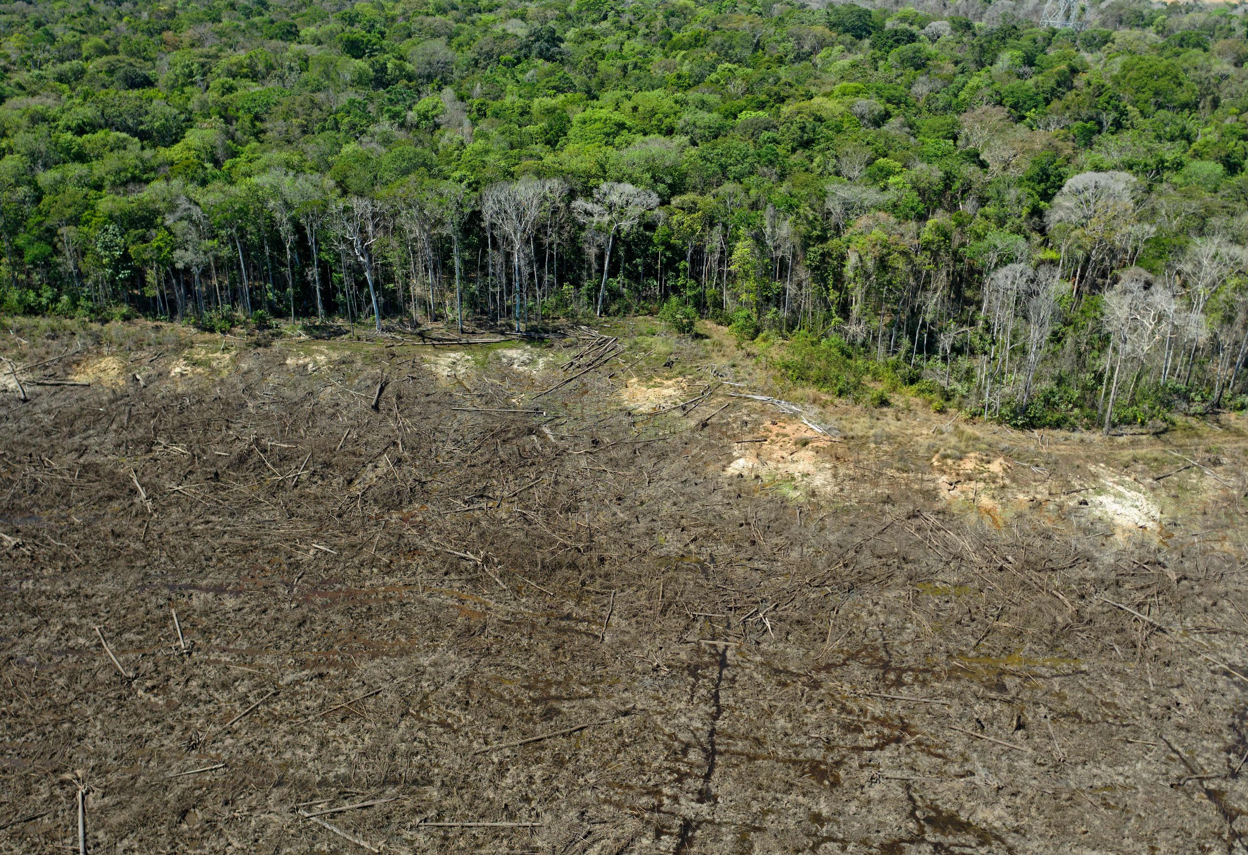 Refusal of the Cerrado Moratorium: Policy Gaps Allowing Continued Vegetation Loss