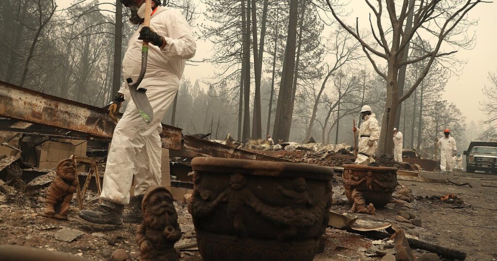 Wildfire Prevention Failures: