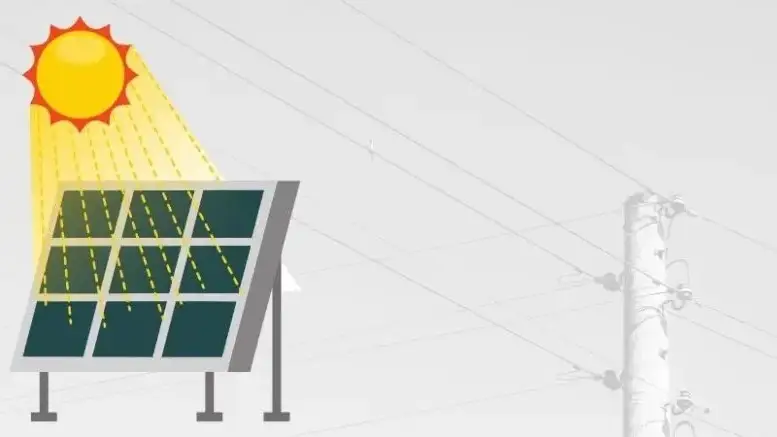 Case Study: The Florida "Jiu-Jitsu" (2016)